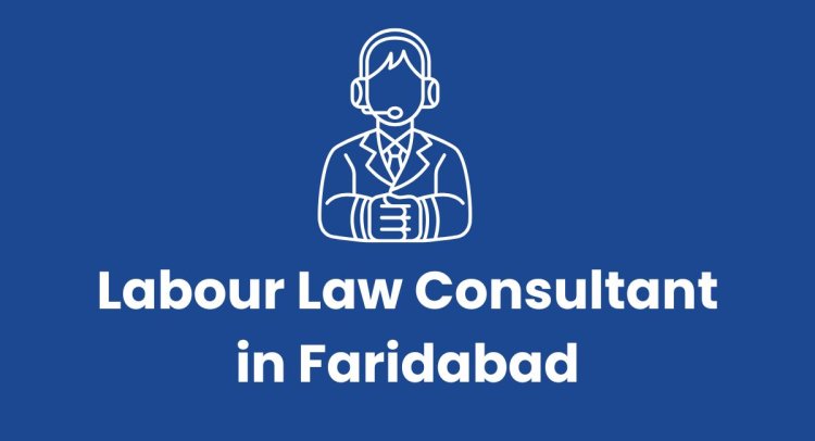 Labour Law Consultant in Faridabad
