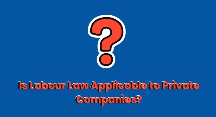 Is Labour Law Applicable to Private Companies?