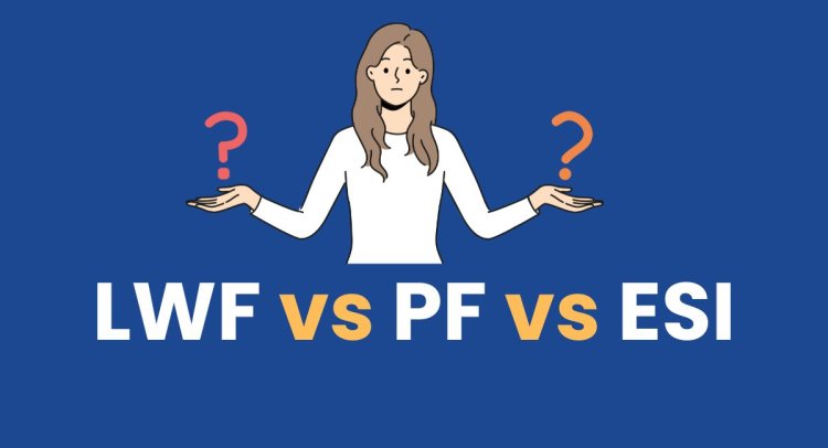 lwf vs pf vs esi contribution and benefits