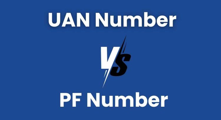 What Is the Difference Between a UAN Number and a PF Number?