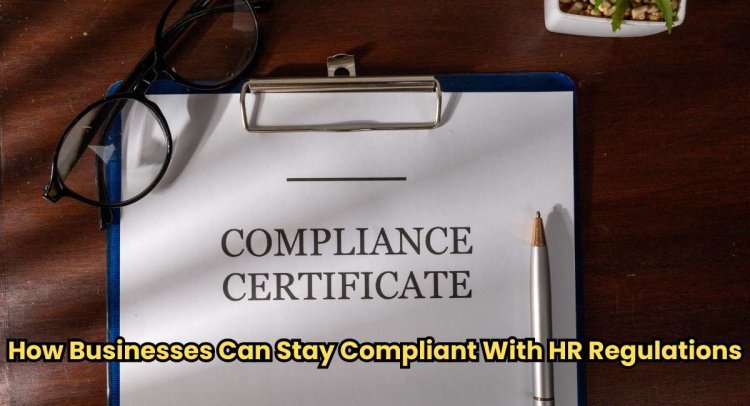How Businesses Can Stay Compliant With HR Regulations