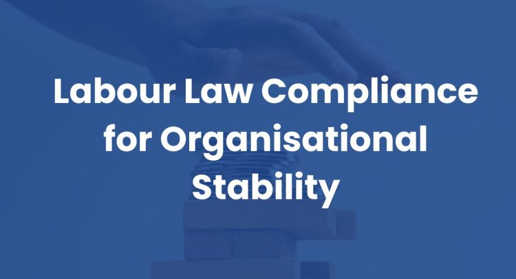 Labour Law Compliance for Organisational Stability
